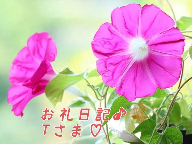 爽やかイケメンの紳士さま