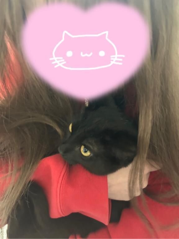 久しぶりに