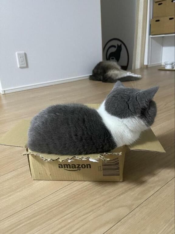 何回も