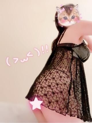 またね文鳥さん