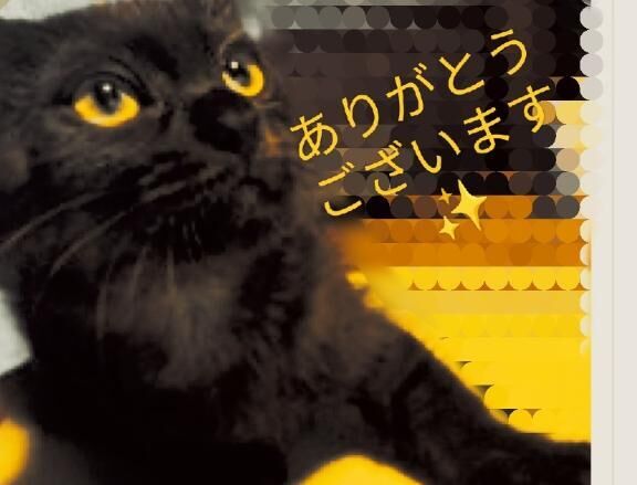 ありがとうございました&#9825;&#9825;