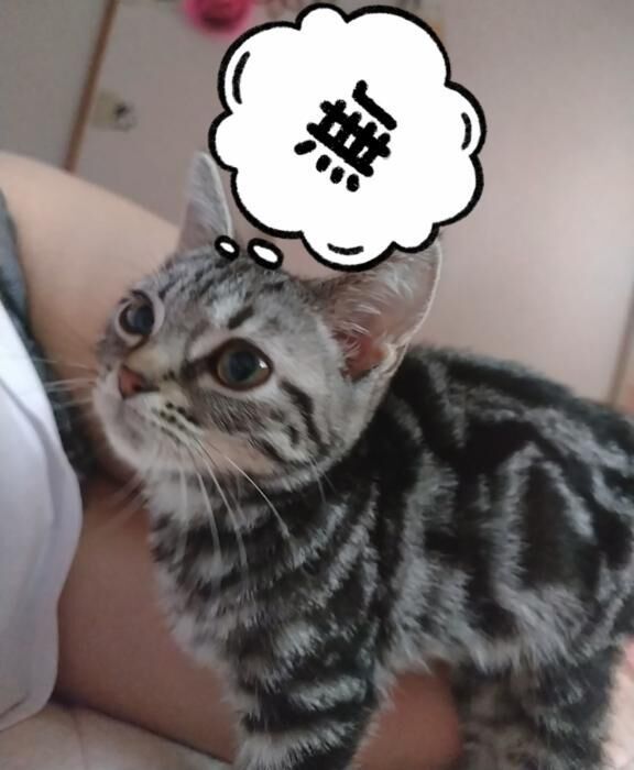 ２０時まで♡