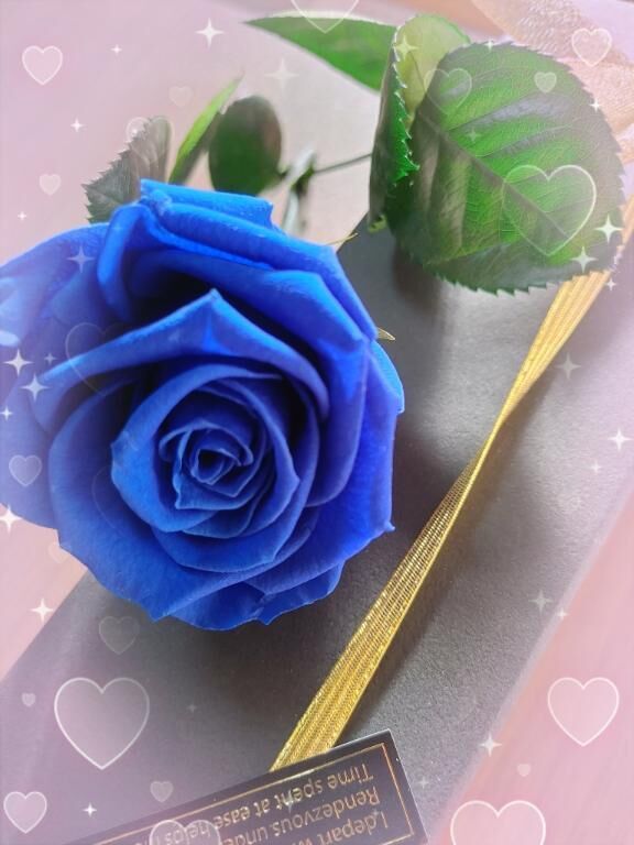 明日&#9825;&#9825;.&#9825;*¨*&#9825;.&#9825;&#9825;&#9825;&#9825;*¨*&#9825;.&#9825;&#9825;&#9825;&#9825;&#9825;*¨*&#9825;.&#9825;&#9825;&#9825;&#9825;&#9825;&#9825;。.:＊゜&#9825;&#9825;&#9825;。.:＊゜&#9825;。.:＊&#9825;&#9825;゜