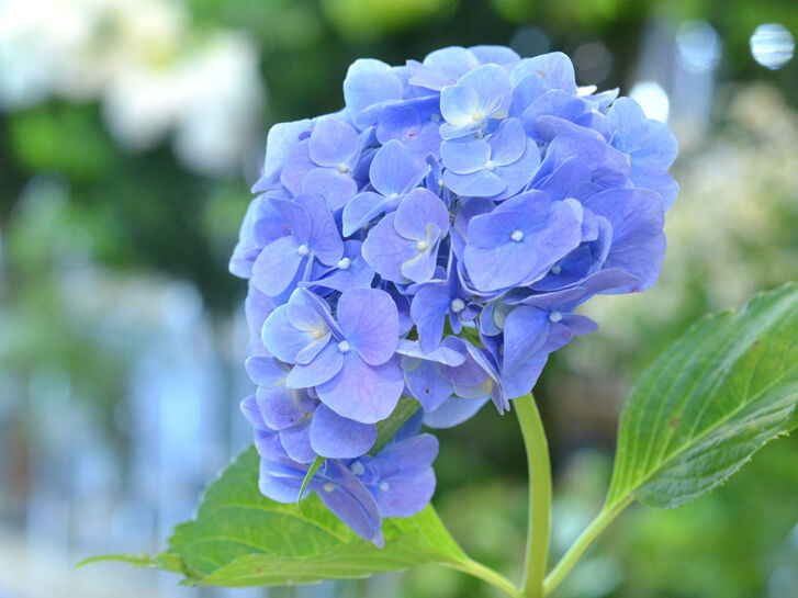 13日(水)　11時50分　♡様