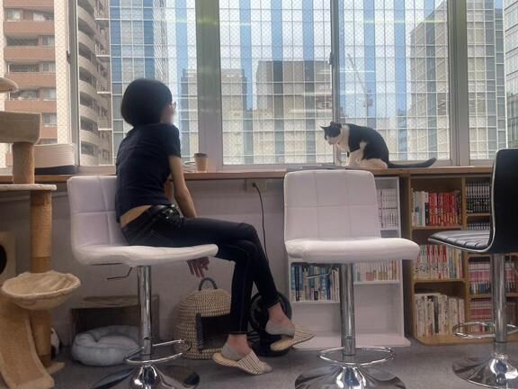 猫カフェ