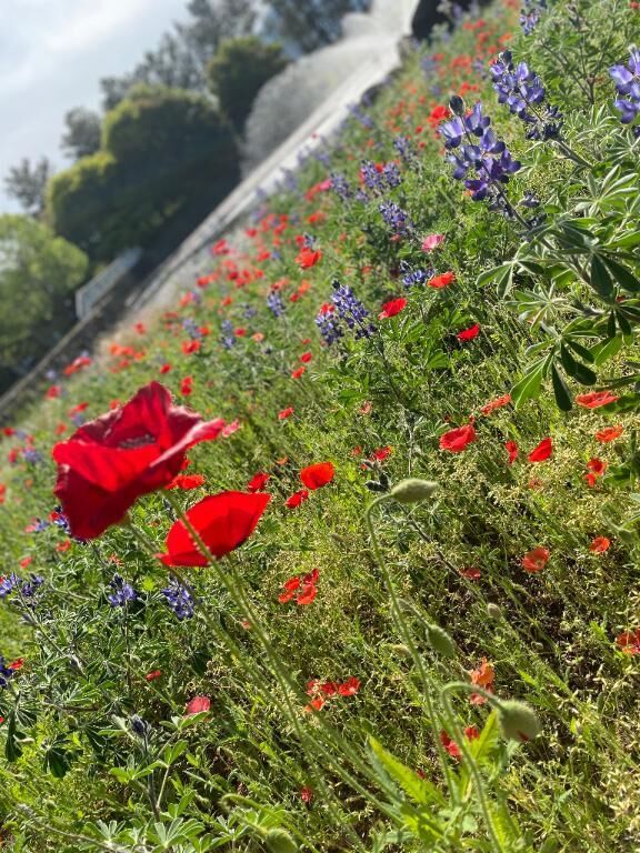 ありがとうございました！&#9825;
