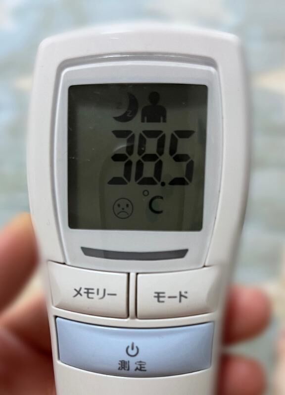 本当にごめんなさい。