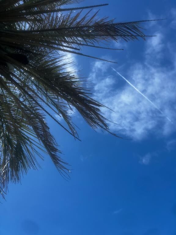 明日から☆