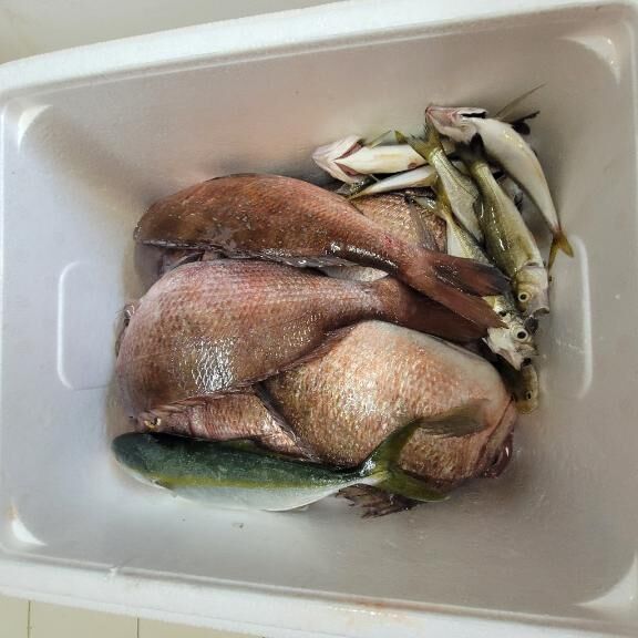 釣り日記&#127907;