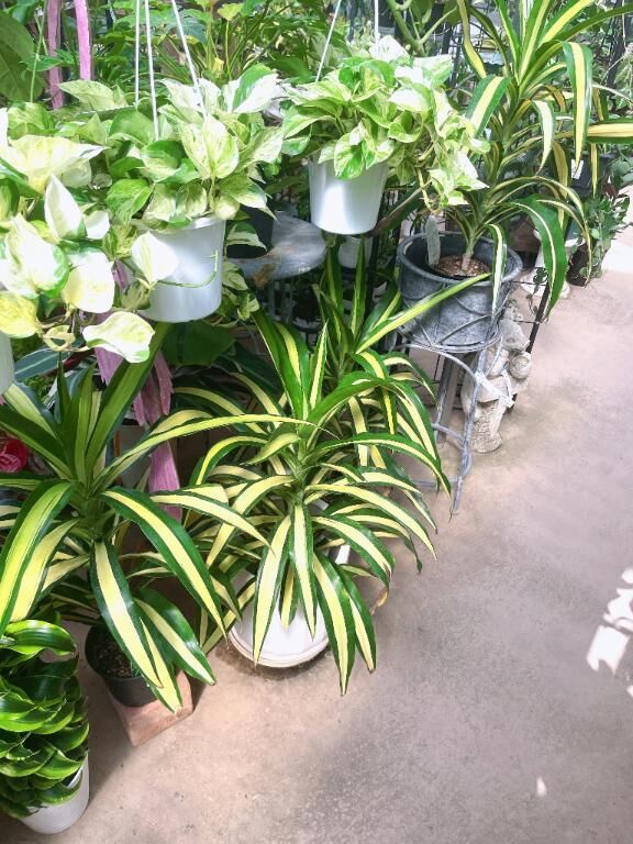 帰宅&#9825;