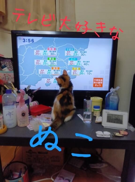急遽