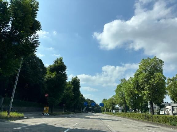 こんばんは&#11088;&#65038;