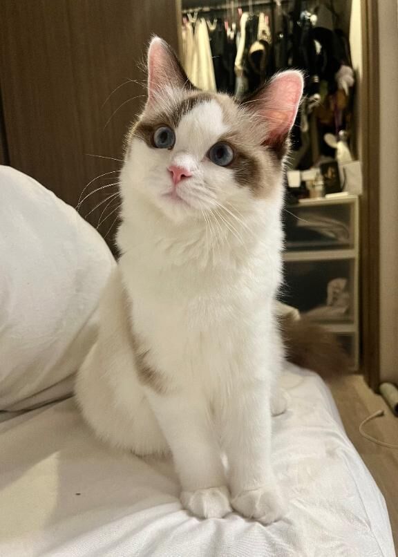 出勤&#9825;