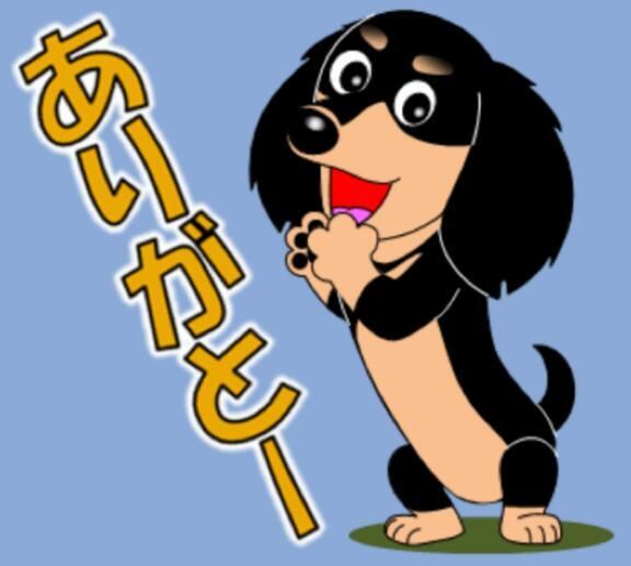 P指様、ありがとう