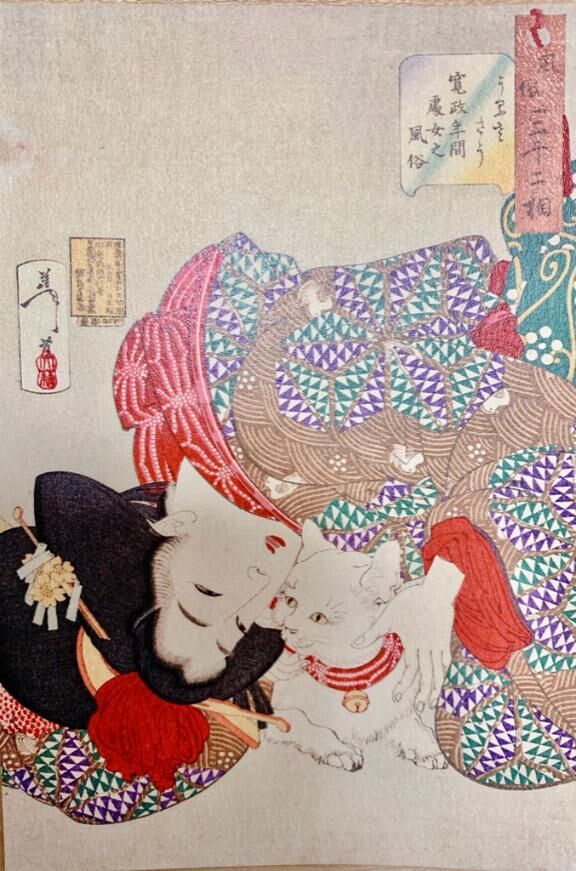 おたより