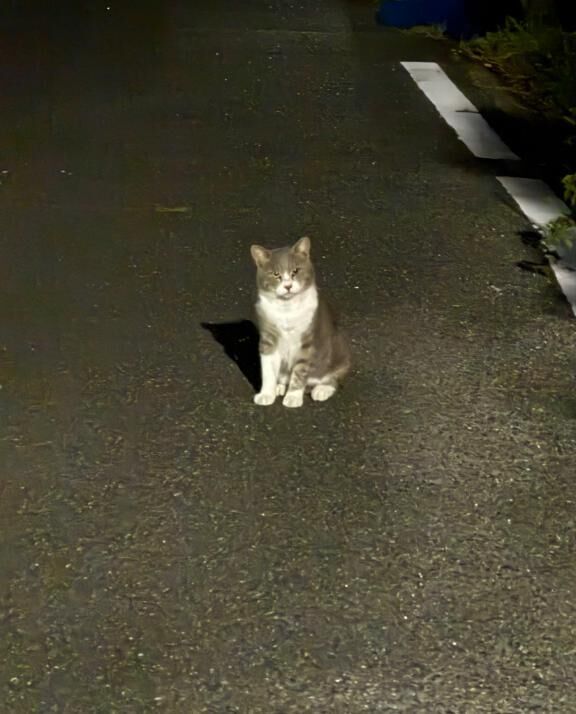 &#9825;