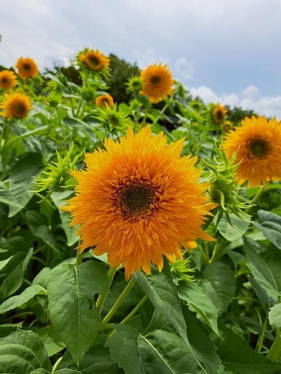 お盆休み