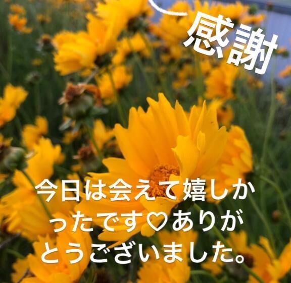 今日の感謝