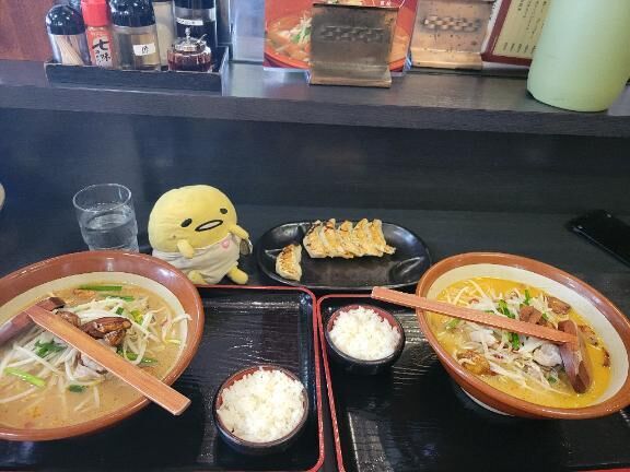 今日はお休みです