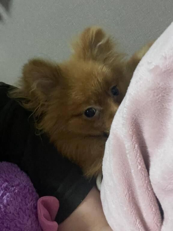 感動&#9825;