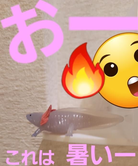 こーれーはー暑いぞー！！(@￣□￣@;)！！♡みなさま気を付けて♡♡