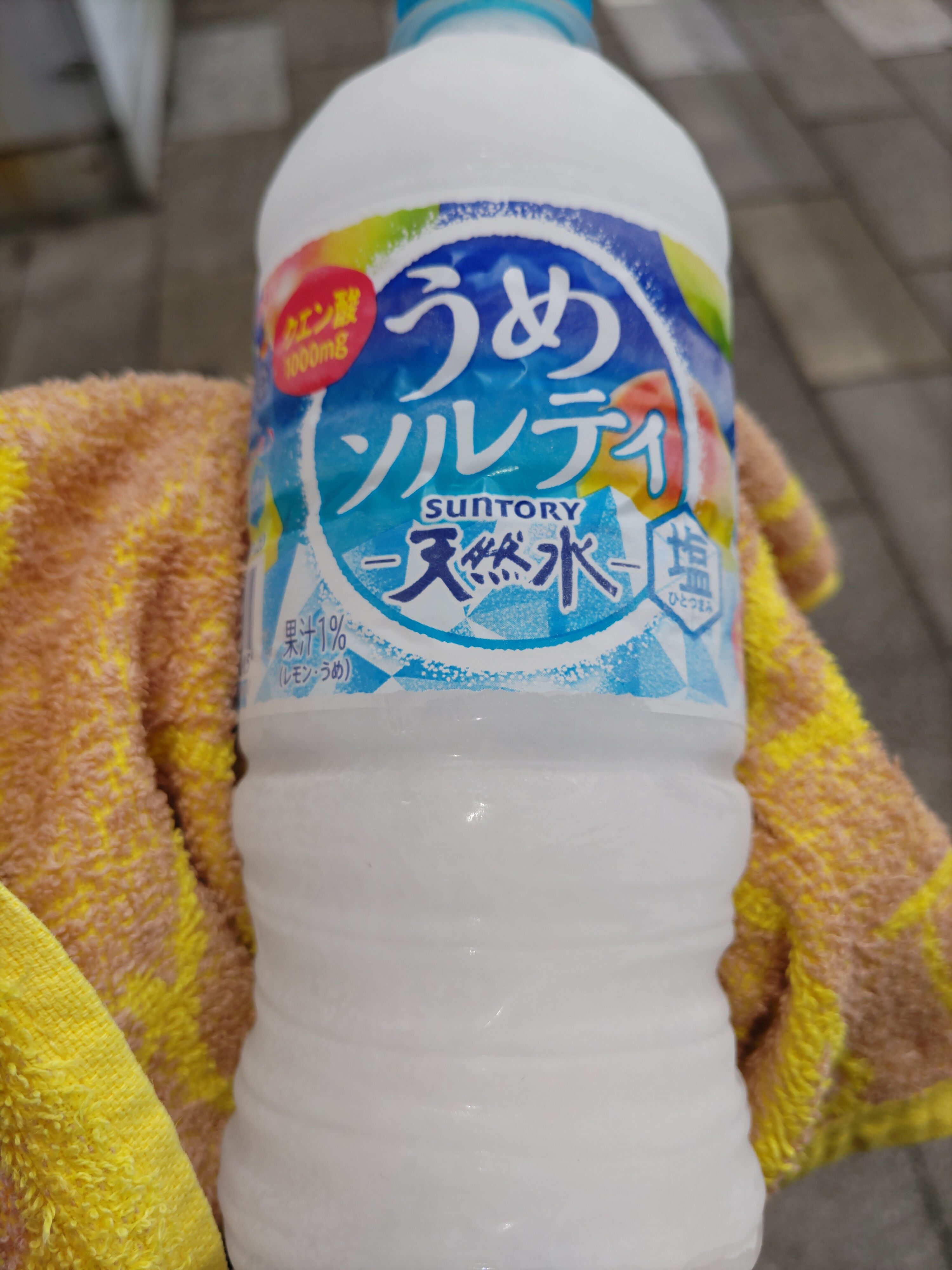 今日は…