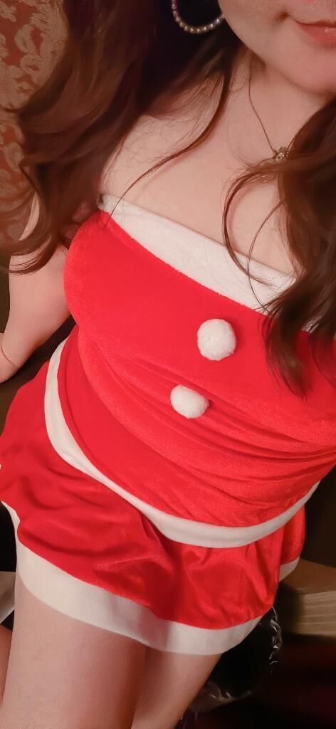 冬です