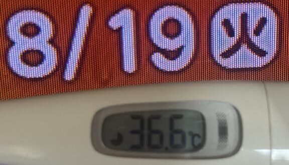 出勤するね^o^