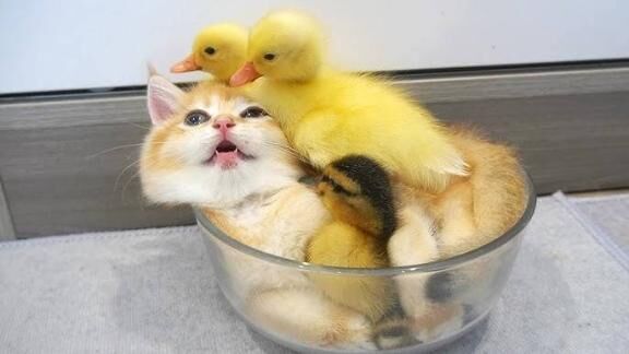 ぼちぼち行こう♪