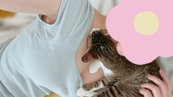 お盆明けってなんだかだるい