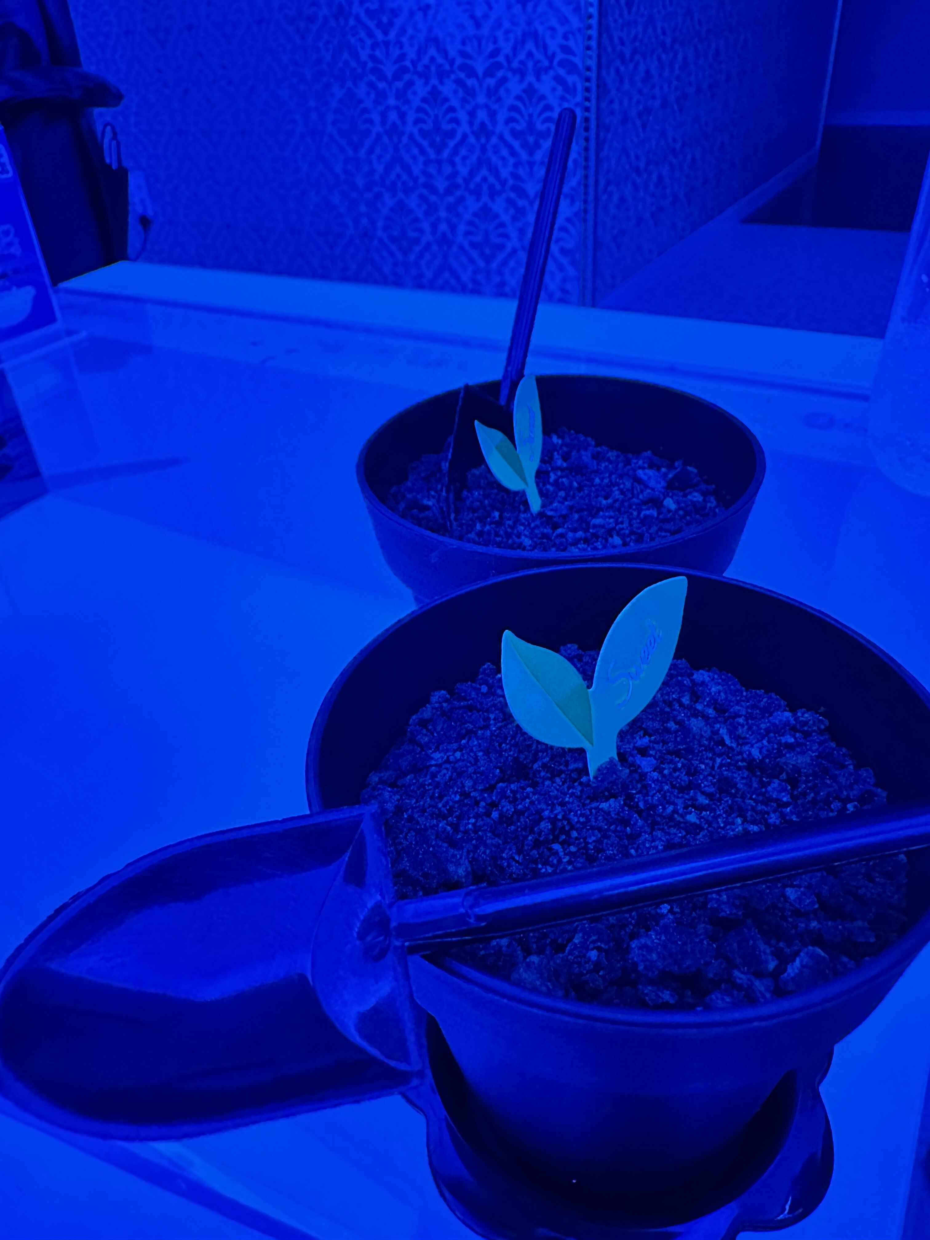 のりくんへ&#127793;&#128420;