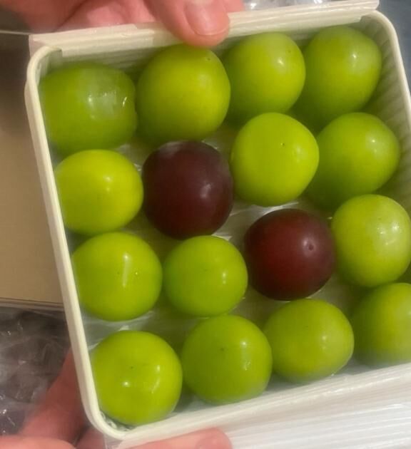 色んな気持ちでこの日からかけなくなってましたが勇気出します&#9825;&#9825;♀&#9825;