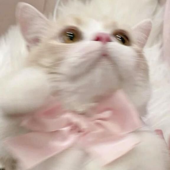 お礼写メ日記&#127872;