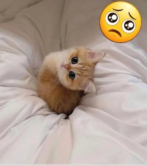 &#9825;本日１枠60分&#9825;来てね&#9825;&#9825;(笑)