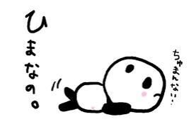 今日も