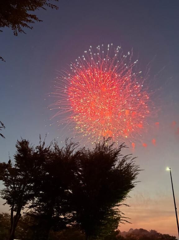花火 (´・∀・｀)