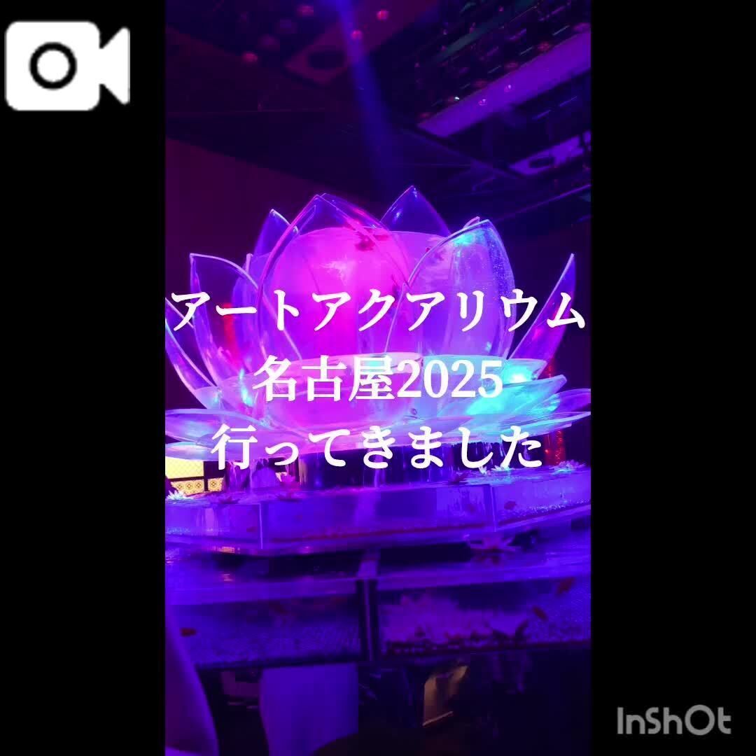 &#9193;癒しをどうぞ&#128031;&#65039;&#10024;
