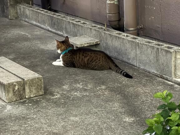 ごめんね&#128166;