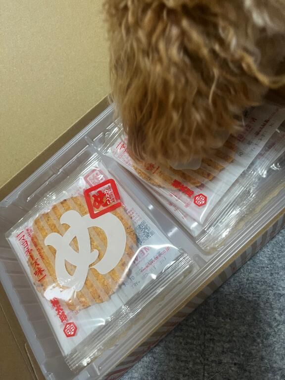 とろけそう♡
