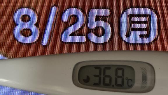 出勤するね^o^