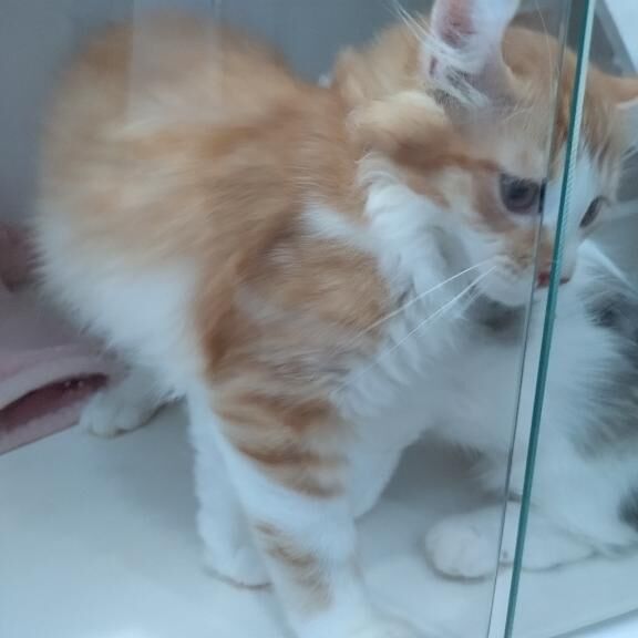 ＼(^o^)／★