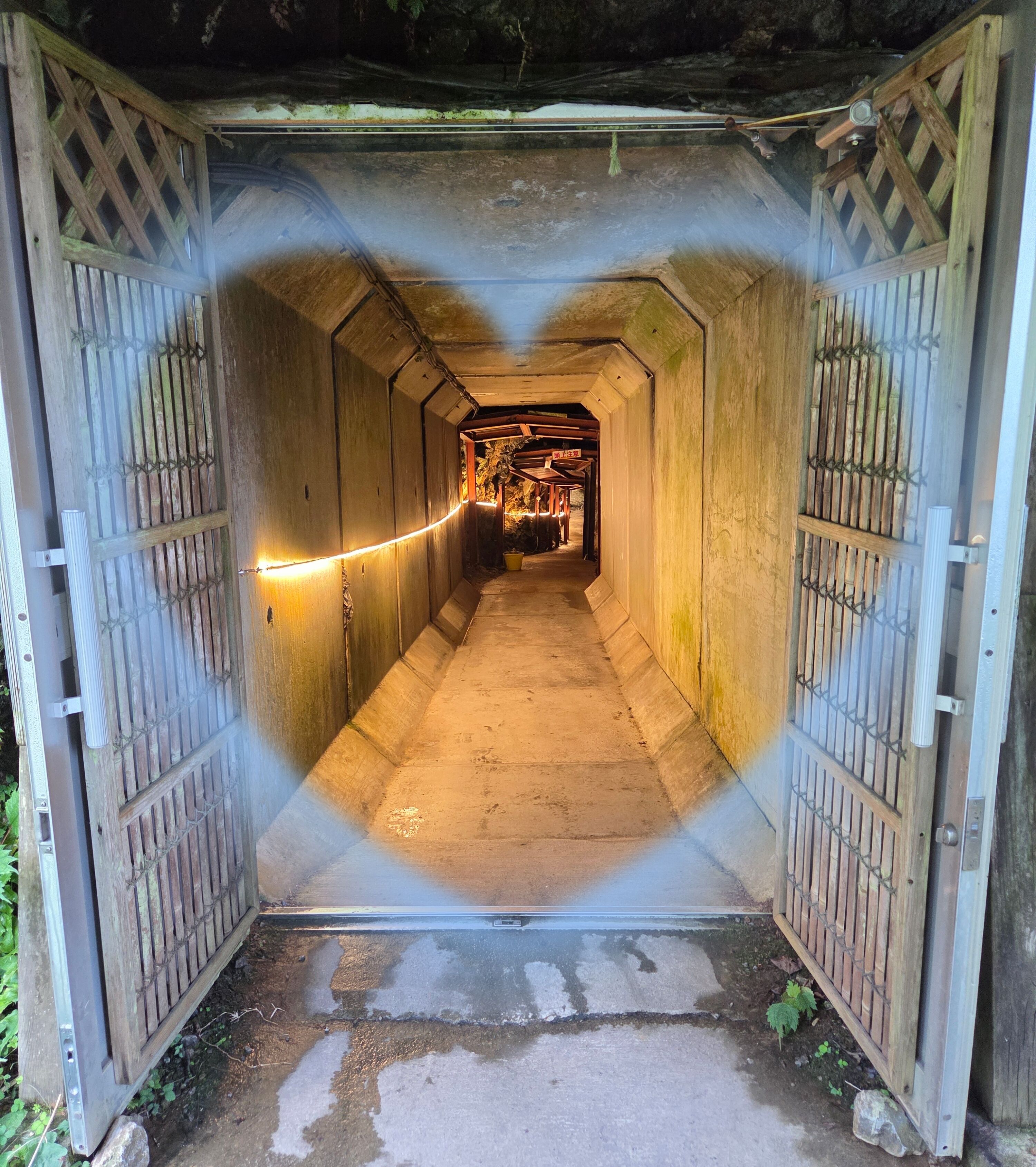 &#11088;楽しかった&#11088;