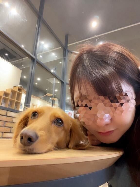 癒される