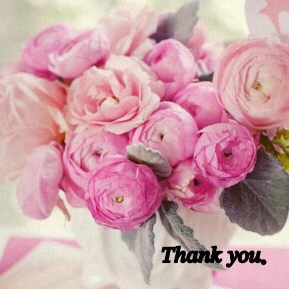 ありがとう&#4326;