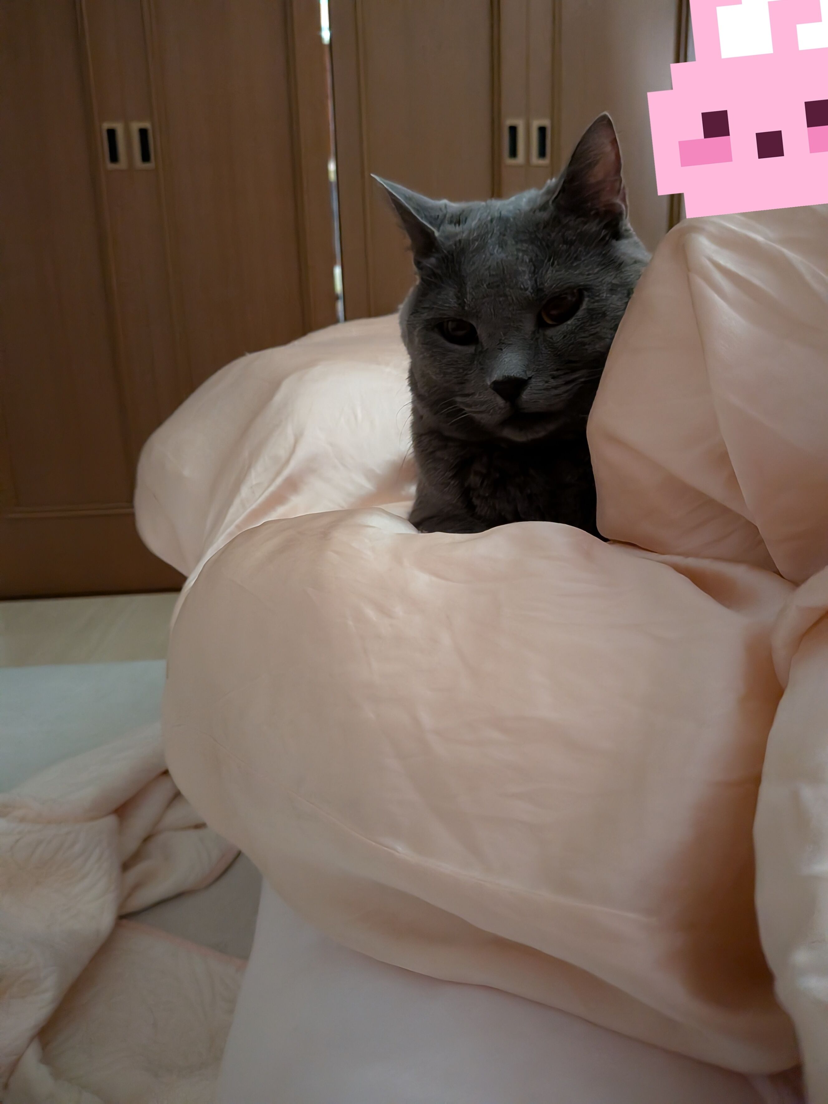 今日も暑い中お疲れ様です