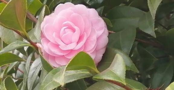 今日も一日、よろしくお願い致します&#10084;&#65038;