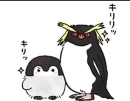 &#42160;&#3665;´&bull;.&#811; &bull; `&#3665;&#42161;