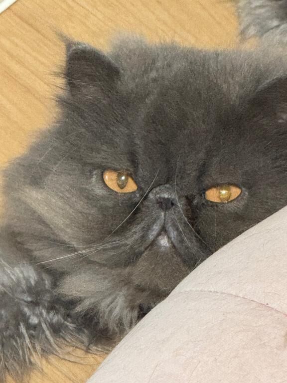 今日をありがとうございます