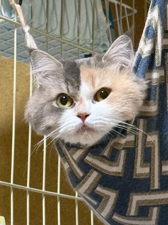 おぱ&#9825;&#9825;