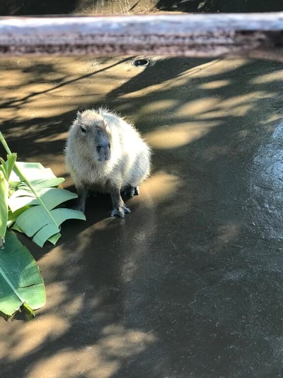 こんにちは。(^O^)